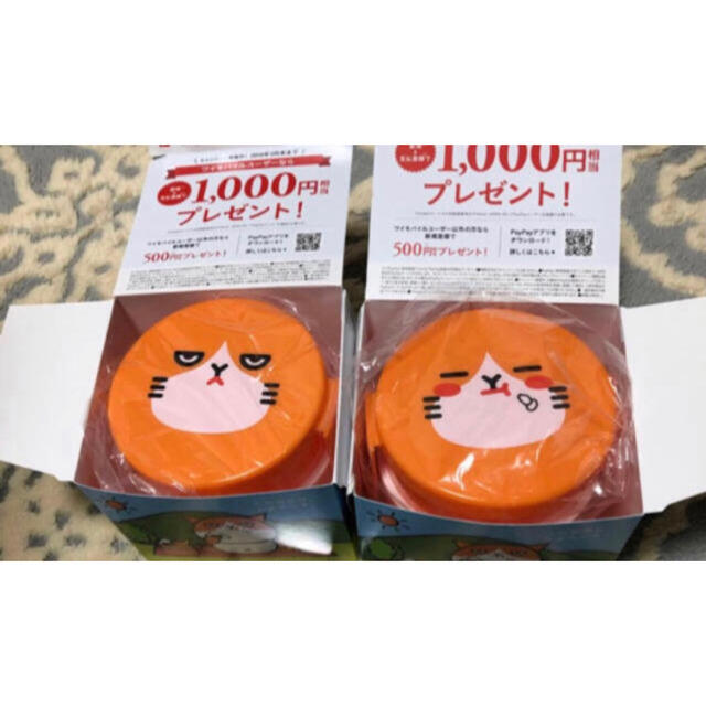 ふてにゃん　激レア　お弁当箱　セット インテリア/住まい/日用品のキッチン/食器(弁当用品)の商品写真