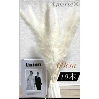 即購入◎ 豪華60cm★ホワイトパンパスグラス10本★段ボール梱包☆(ドライフラワー)