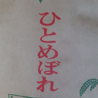 新米  令和2年ひとめぼれ10㎏(米/穀物)