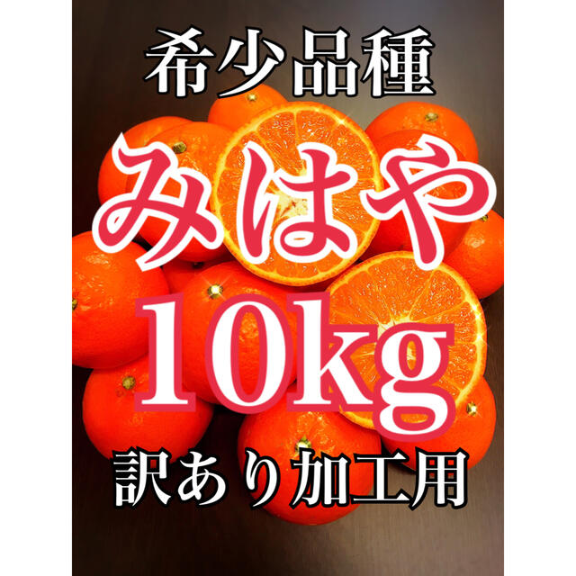 加工用みかん10キロ