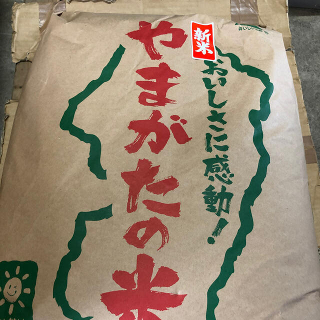 米/穀物　新米　白米　コシヒカリ　令和2年産　山形県産　24キロ