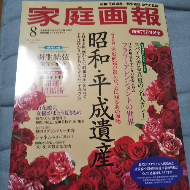 家庭画報プレミアムライト版 2020年 08月号 エンタメ/ホビーの雑誌(その他)の商品写真