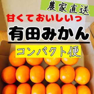 和歌山　有田みかん　新鮮コンパクト便。(フルーツ)