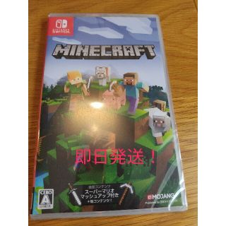 Minecraft Switch(家庭用ゲームソフト)