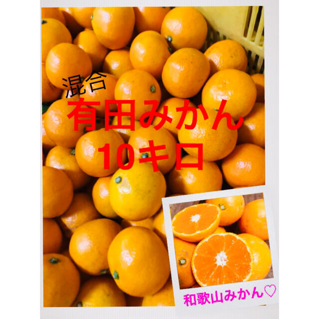 和歌山有田みかん大小ランダム10キロ　完熟！ 食品/飲料/酒の食品(フルーツ)の商品写真