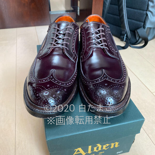 Alden(オールデン)のALDENオールデン★975★ロングウィング ★8.5D★ウィングチップ メンズの靴/シューズ(ドレス/ビジネス)の商品写真