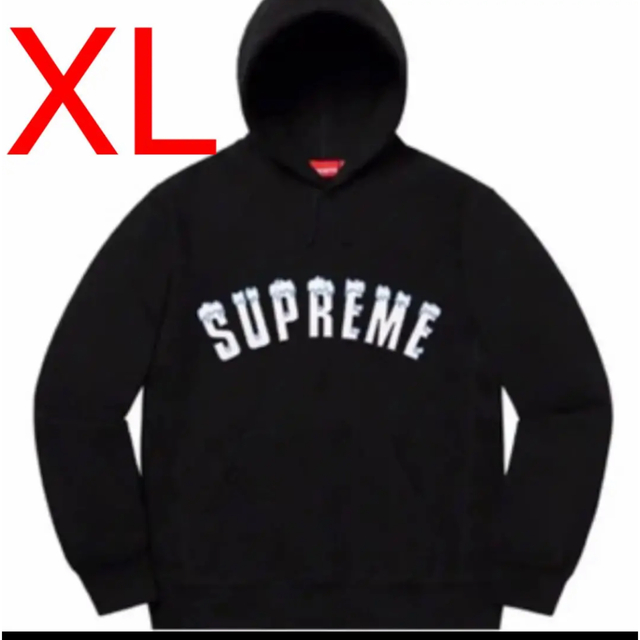 Supreme Icy Arc Hooded Sweatshirt