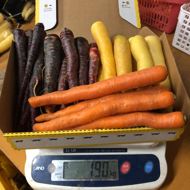 彩りフルーツにんじん先行販売。訳ありB品1.8kg以上。無農薬野菜 食品/飲料/酒の食品(野菜)の商品写真