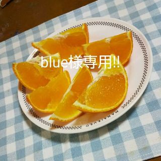 blue様専用!!約6kgです(*^^*)(フルーツ)