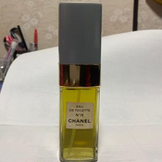 シャネル(CHANEL)のCHANEL No19 オードトワレ 100ml(香水(女性用))