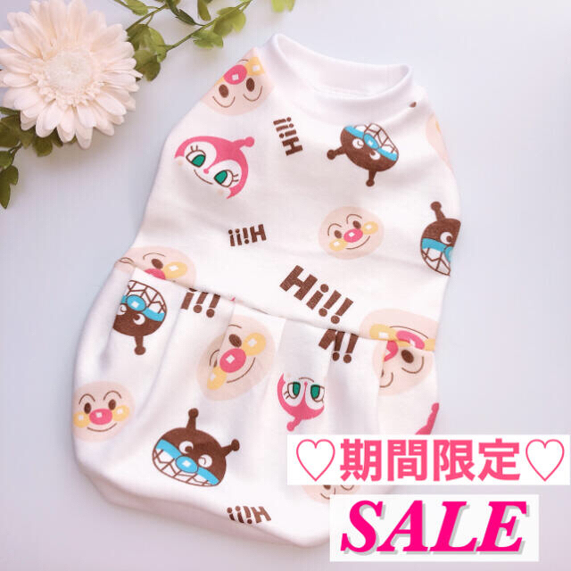 🐶犬服⁎⁺˳✧༚❤️アンパンマン ワンピース❤️
