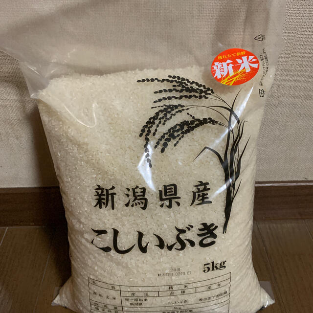 35kg(5kg×7）　精米】令和2年産　こしいぶき　新潟産　新米　米/穀物