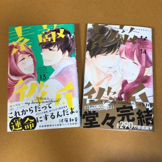 素敵な彼氏 １３巻&１４巻(少女漫画)