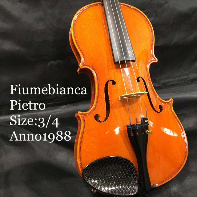 Fiumebianca フューメビアンカ バイオリン pietro 3/4サイズ | フリマアプリ ラクマ