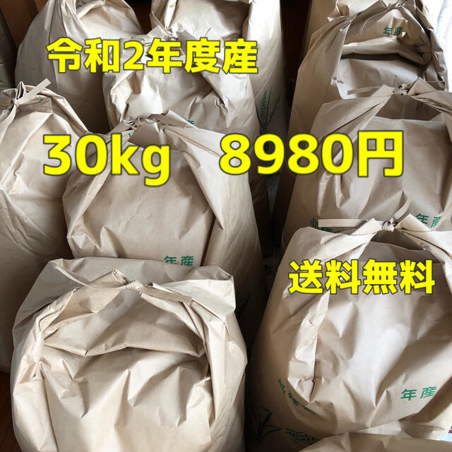 米/穀物　ヒノヒカリ　玄米30kg　令和2年度　新米