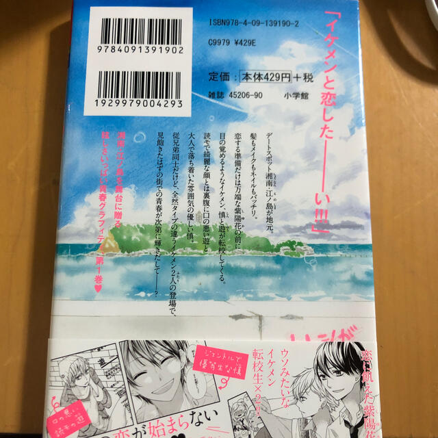 １／３さんぶんのいち １ エンタメ/ホビーの漫画(少女漫画)の商品写真