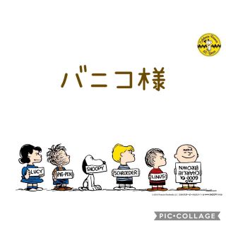 バニコ様専用*タッセルキーホルダー*ハンドメイド《PEANUTS》(バッグチャーム)