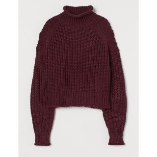 エイチアンドエム(H&M)のH&M リブニットハイネックセーター　ボルドー　L(ニット/セーター)