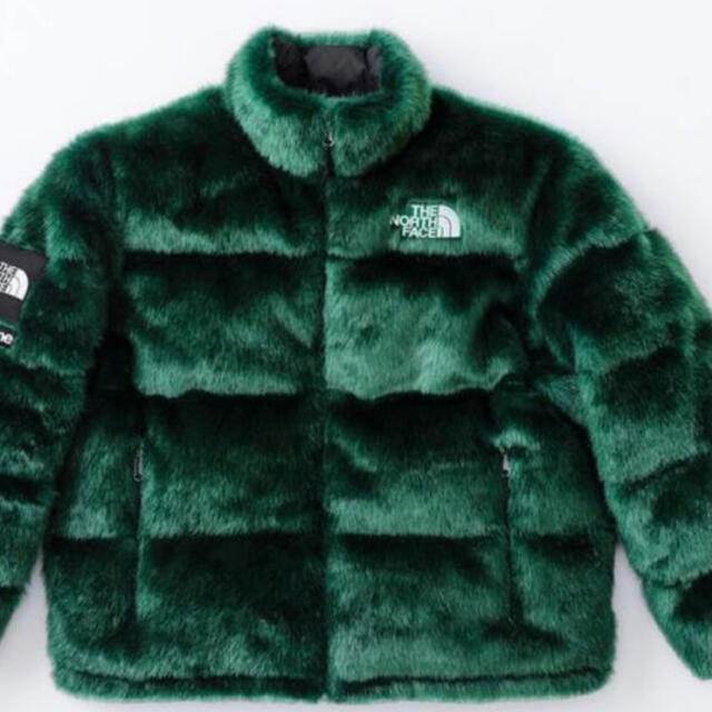 Supreme TheNorthFace Faux Fur Nuptse L | tradexautomotive.com