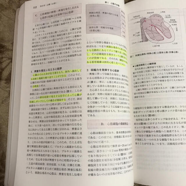 スタンダ－ド生理学 第３版 エンタメ/ホビーの本(健康/医学)の商品写真