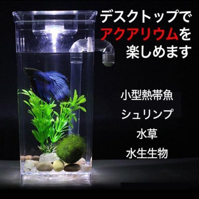 ミニセルフクリーニング水槽 卓上水槽 アクアタンク 自動水換えの通販 By Tool8 S Shop ラクマ