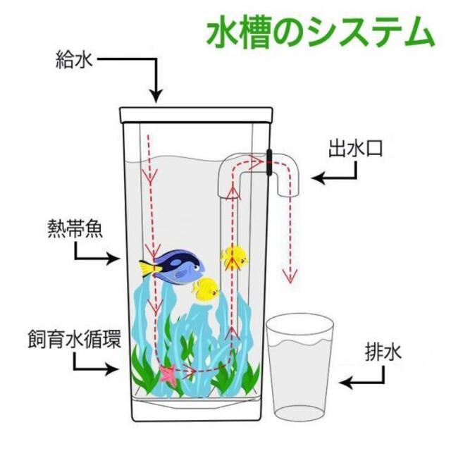 ミニセルフクリーニング水槽 卓上水槽 アクアタンク 自動水換えの通販 By Tool8 S Shop ラクマ