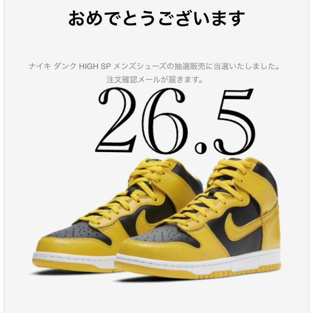 NIKE ダンクHigh