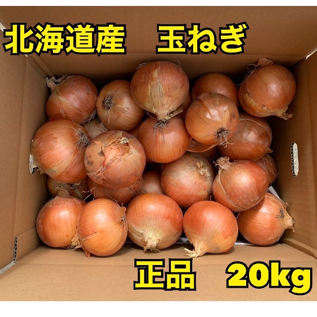 北海道産玉ねぎ品種北もみじ2000 食品/飲料/酒の食品(野菜)の商品写真