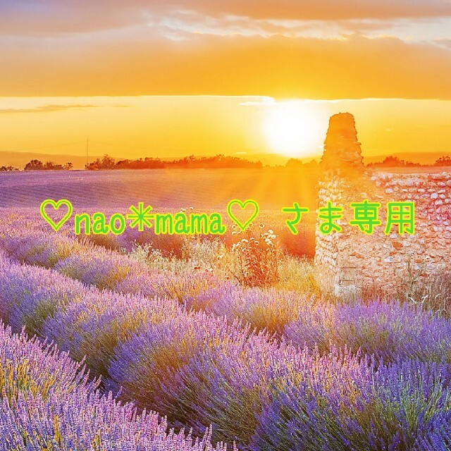 ④♡nao✳mama♡さま専用 www.cardiologiaintegrada.com.br