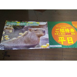 伊豆シャボテン動物公園ご招待券(平日) ２名(動物園)