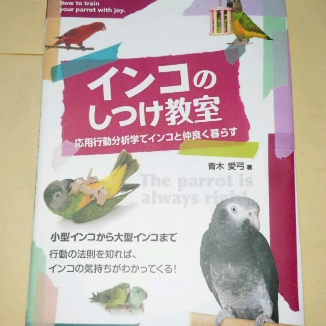 専用！インコ本 その他のペット用品(鳥)の商品写真