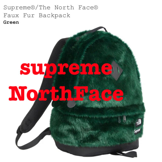 Supreme The North Face Faux Fur BackpackBackpack
