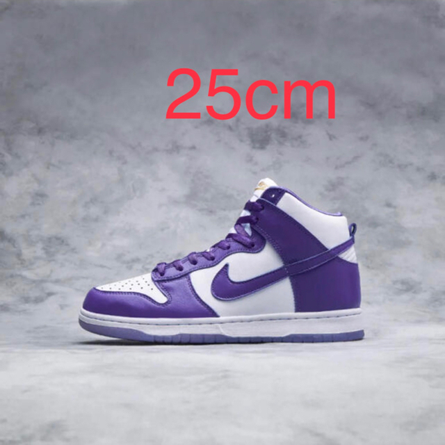 NIKE DUNK HIGH WMNS VARSITY PURPLE 25cm