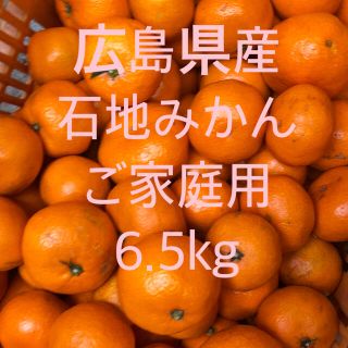 広島県産　石地みかん　いしじ　蜜柑　訳あり　6.5kg  産地直送　送料無料(フルーツ)