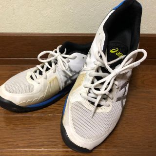 アシックス(asics)のアシックス  テニスシューズ オムニ  27.0(シューズ)