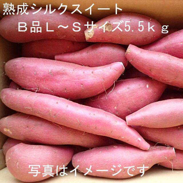 ｂ品ｓ ｌサイズ熟成シルクスイート5 5ｋｇ虫食い皮むけ曲がりなどの通販 By おいも前芝 ラクマ