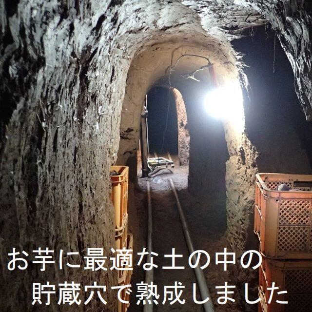 ｂ品ｓ ｌサイズ熟成シルクスイート5 5ｋｇ虫食い皮むけ曲がりなどの通販 By おいも前芝 ラクマ