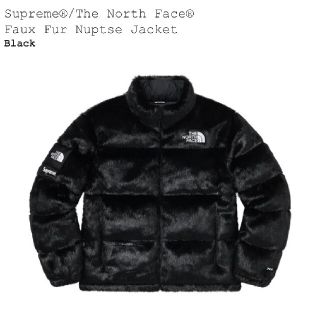 Supreme The North Face ダウンジャケット(ダウンジャケット)