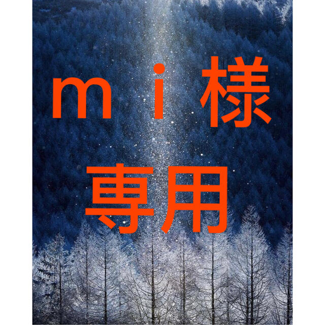 mi様 専用商品 【1着でも送料無料】 3800円引き stockshoes.co