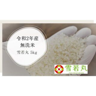 令和2年 雪若丸 無洗米 5kg 山形県尾花沢産 新米 ご自宅用(米/穀物)