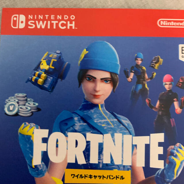 Nintendo Switch★ニンテンドースイッチ★フォートナイト コードのみ