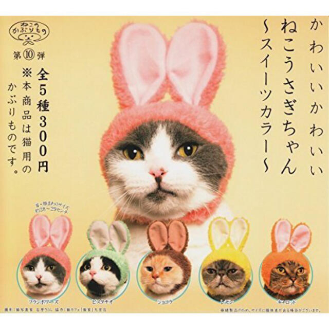 かわいいかわいいねこうさぎちゃん スイーツカラー エンタメ/ホビーのおもちゃ/ぬいぐるみ(ぬいぐるみ)の商品写真