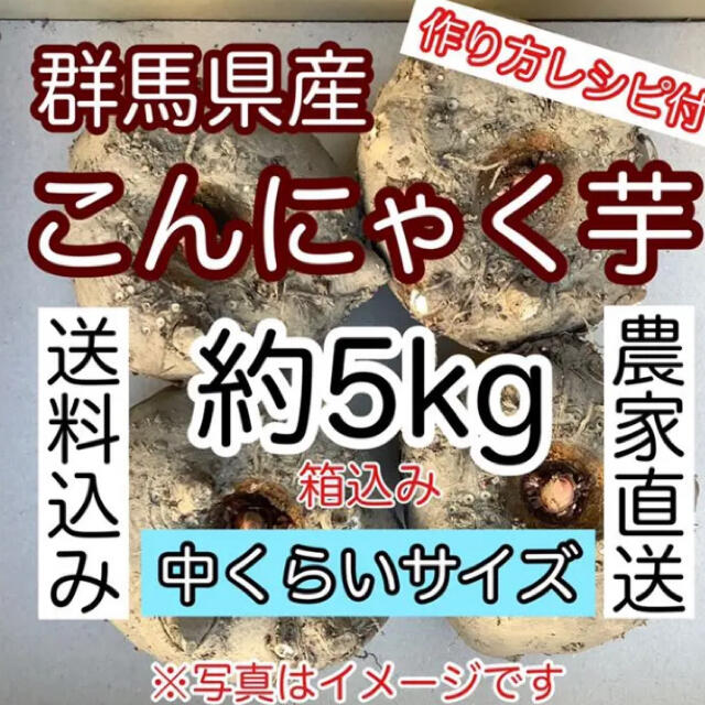 【群馬県産】こんにゃく芋　約1kgを5個　合計5kg手作りこんにゃく用 食品/飲料/酒の食品(野菜)の商品写真