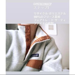 パタゴニア(patagonia)のロンハーマン 根岸さん着用　パタゴニア　シンチラ　プルオーバーオートミール　S (トレーナー/スウェット)