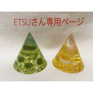 ETSUさん専用ページ(インテリア雑貨)