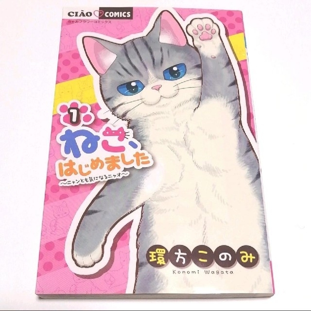 小学館 ねこ はじめました ニャンとも気になるニャオ 1の通販 By Kim S Shop ショウガクカンならラクマ 小学館 ねこ はじめました ニャンとも気になるニャオ 1の通販 By Kim S Shop ショウガクカンならラクマ