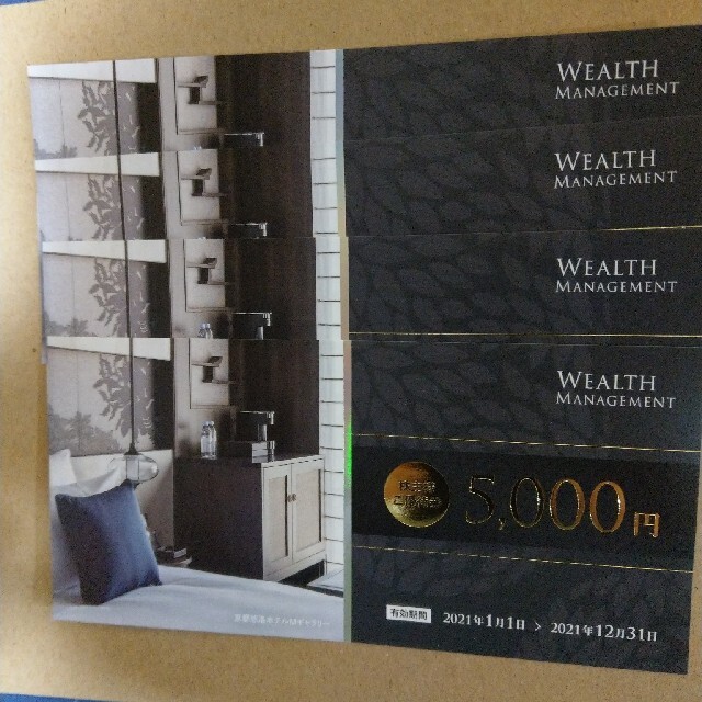 ウェルスマネジメント株主優待2万円分-