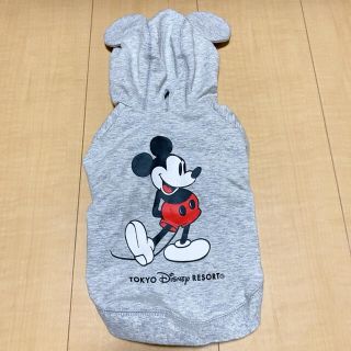 ディズニー(Disney)のミッキーパーカー ドッグウェア SSサイズ(犬)