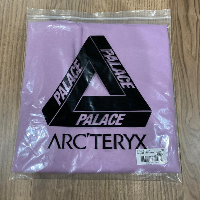 ARC'TERYX(アークテリクス)の最安値palace アークテリクス　teeシャツ Lサイズ メンズのトップス(Tシャツ/カットソー(半袖/袖なし))の商品写真
