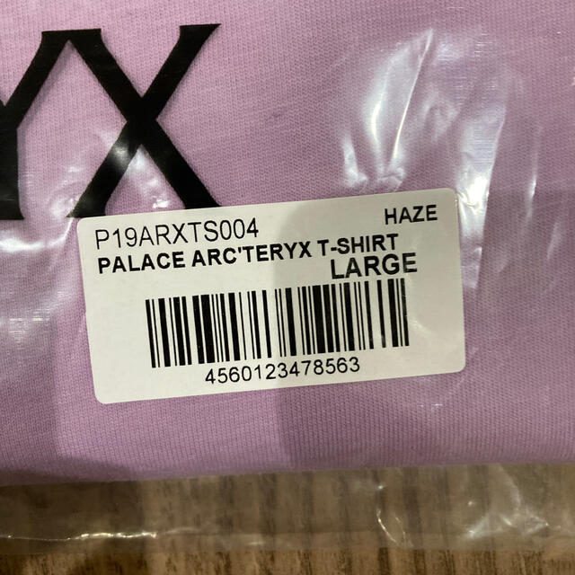 ARC'TERYX - 最安値palace アークテリクス teeシャツ Lサイズの